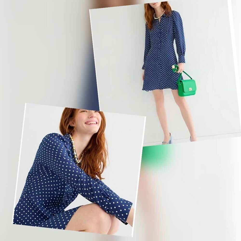 J. Crew Cupro Viscose Polka Dot Fit and Flare Shirt Dress Sz. 6
